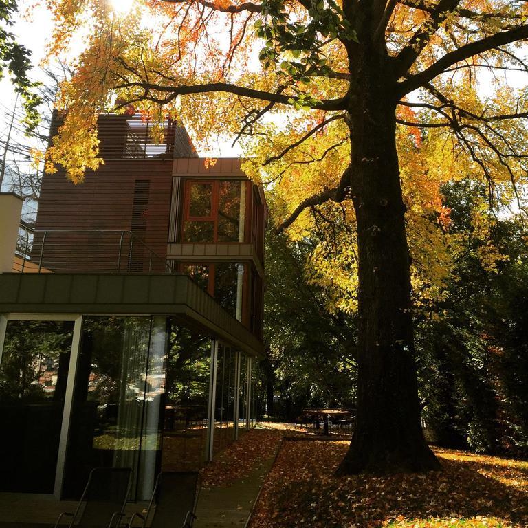 Hotel Casa Sull'Albero Malgrate Esterno foto
