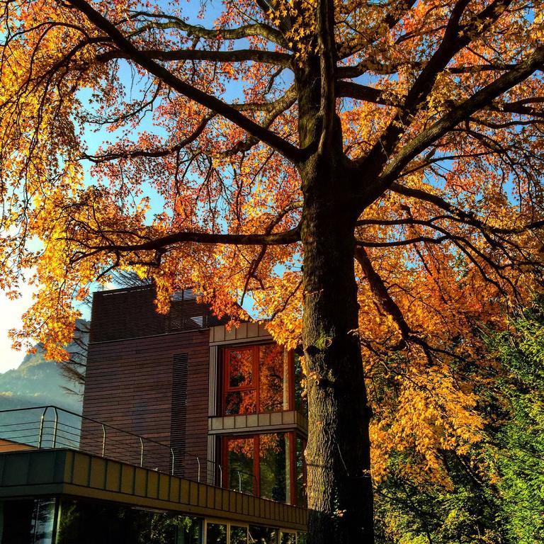 Hotel Casa Sull'Albero Malgrate Esterno foto